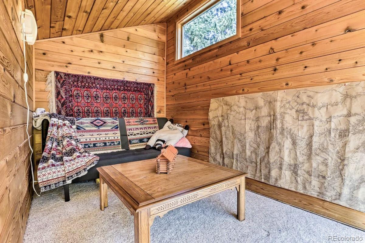 MLS Image #38 for 48  moss lane,dumont, Colorado