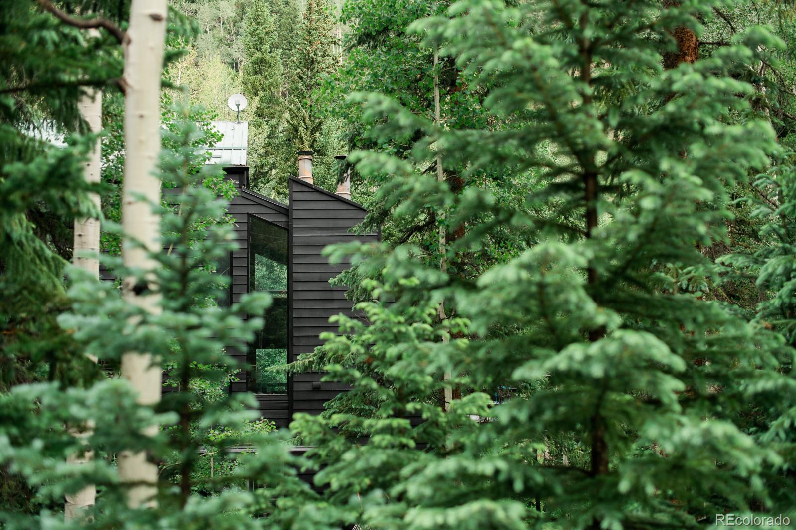 MLS Image #4 for 48  moss lane,dumont, Colorado