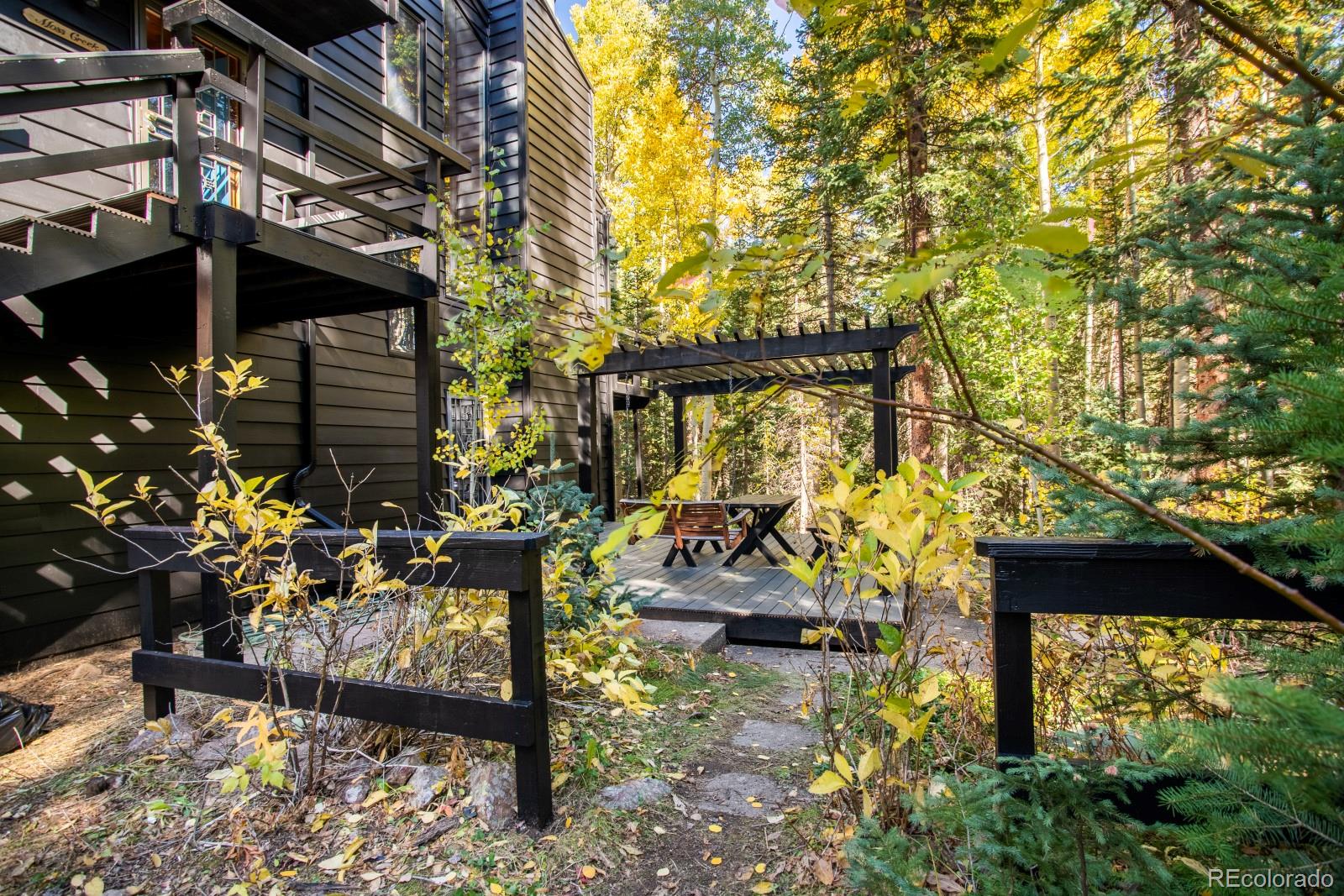 MLS Image #41 for 48  moss lane,dumont, Colorado