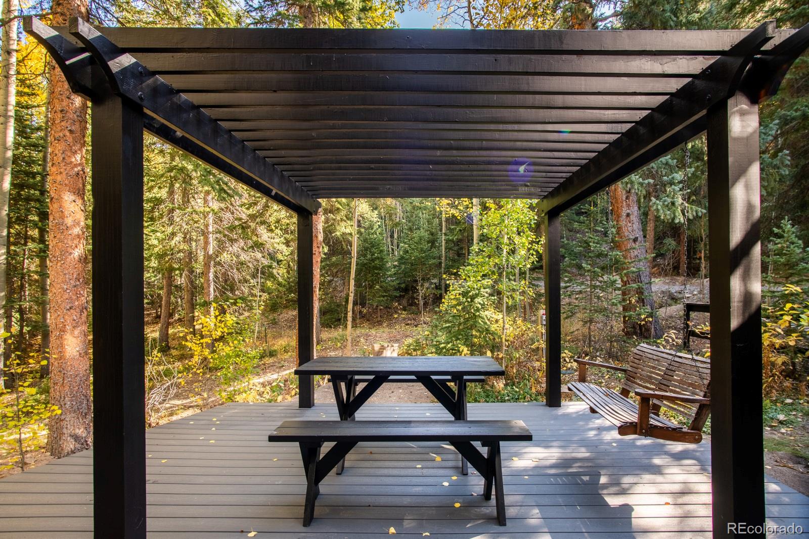 MLS Image #42 for 48  moss lane,dumont, Colorado
