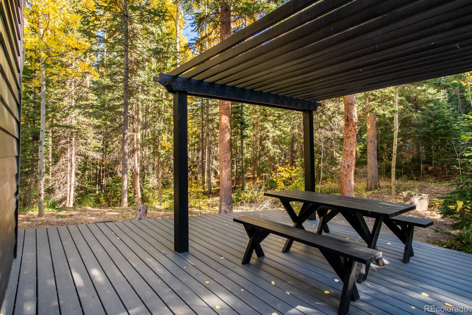 MLS Image #43 for 48  moss lane,dumont, Colorado