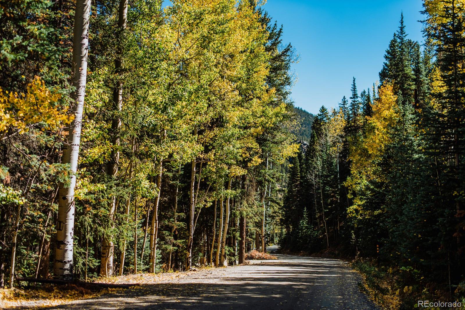 MLS Image #5 for 48  moss lane,dumont, Colorado