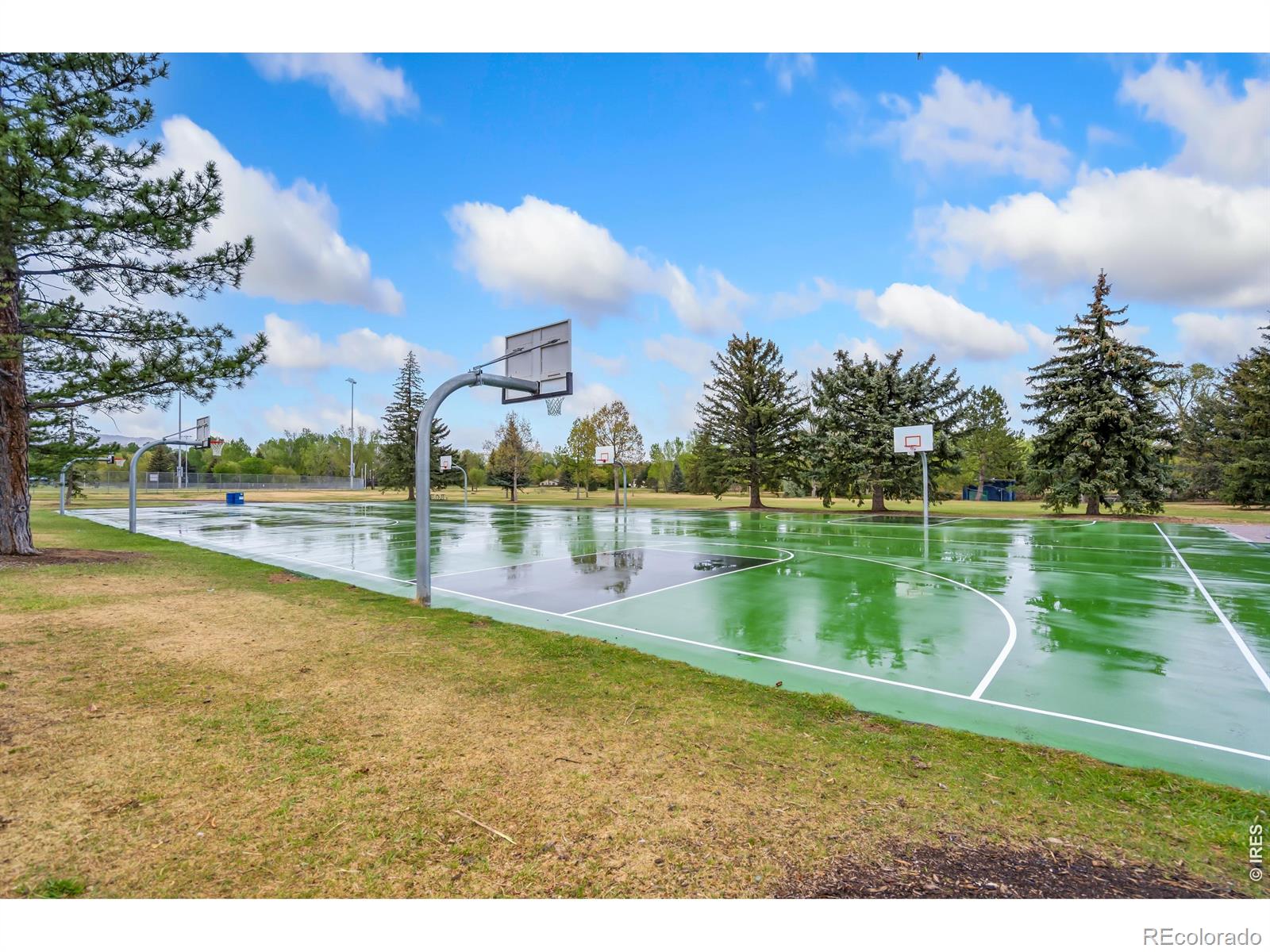 MLS Image #43 for 2762  nottingham square,fort collins, Colorado