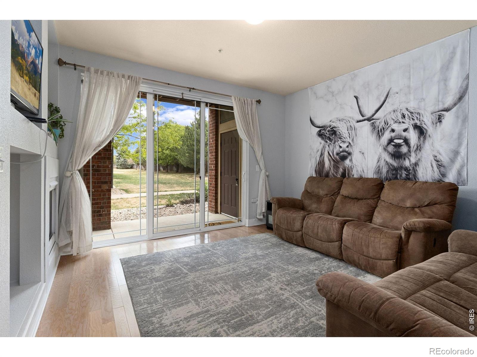 MLS Image #3 for 2445  windrow drive,fort collins, Colorado