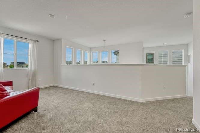 MLS Image #21 for 10004  yampa street,commerce city, Colorado