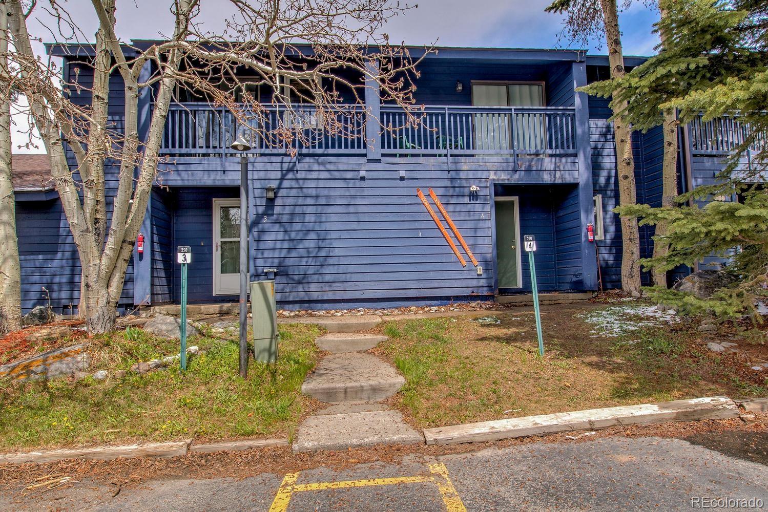 MLS Image #1 for 250  cove boulevard,dillon, Colorado