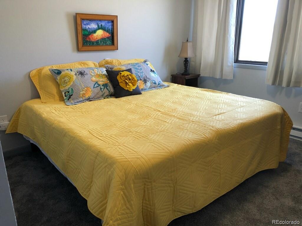 MLS Image #13 for 250  cove boulevard,dillon, Colorado
