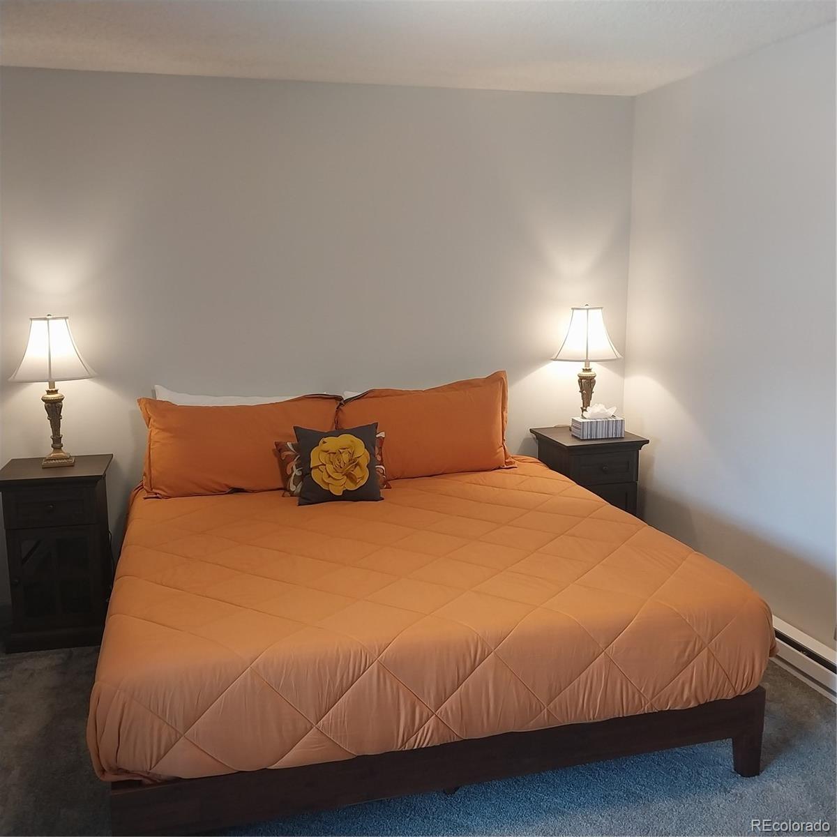 MLS Image #18 for 250  cove boulevard,dillon, Colorado