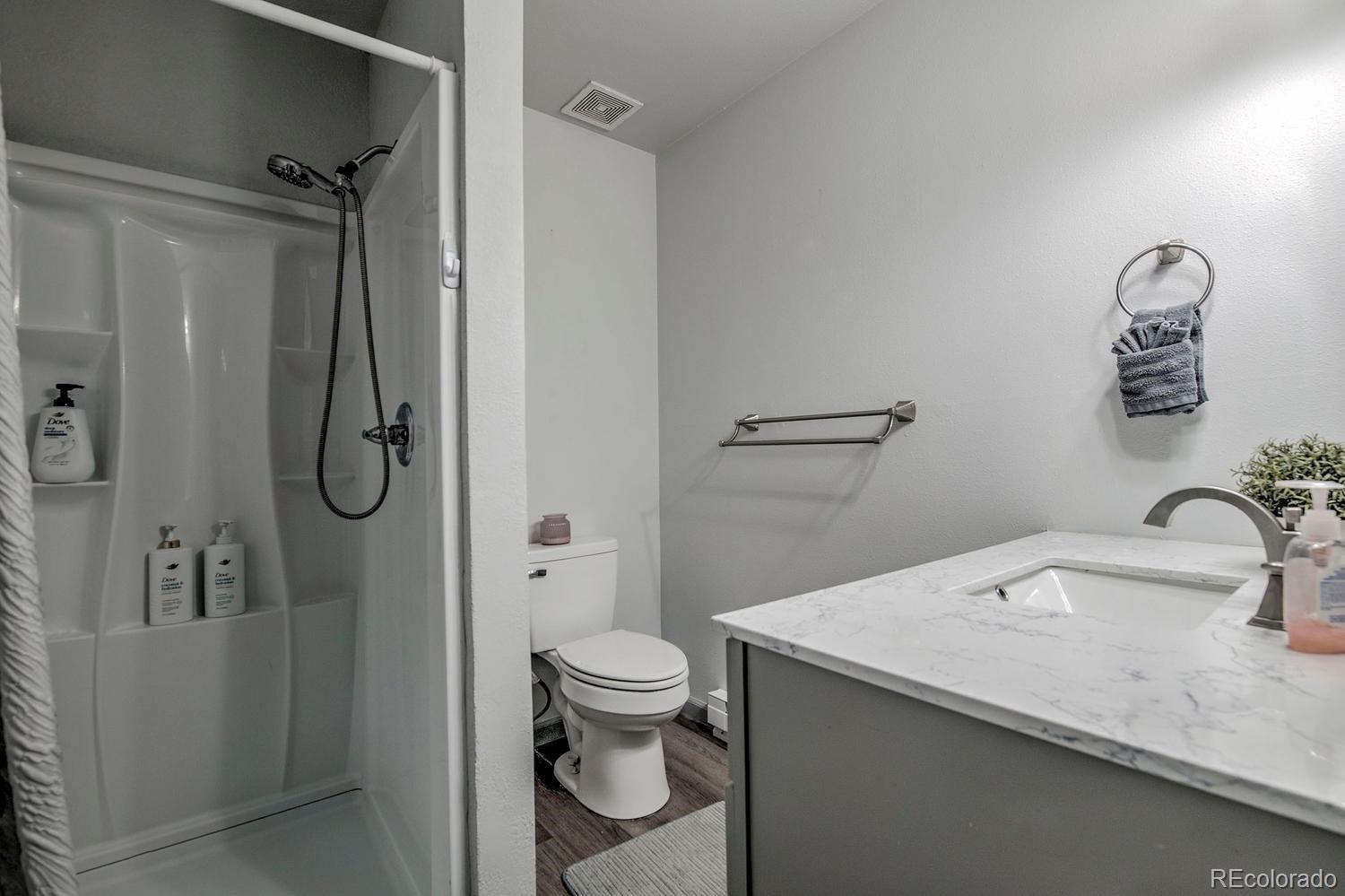 MLS Image #5 for 250  cove boulevard,dillon, Colorado