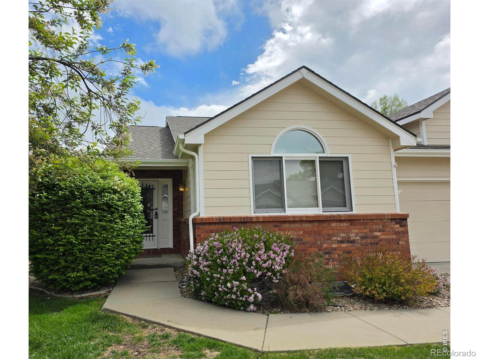 MLS Image #2 for 1526  tulip court,longmont, Colorado
