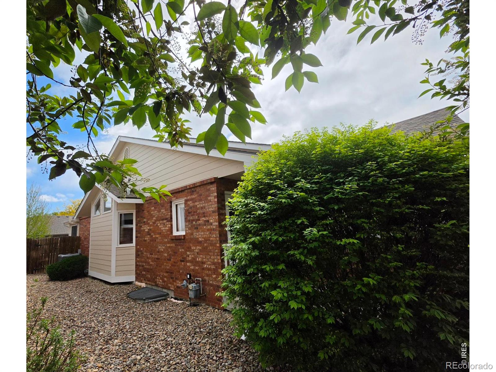 MLS Image #3 for 1526  tulip court,longmont, Colorado