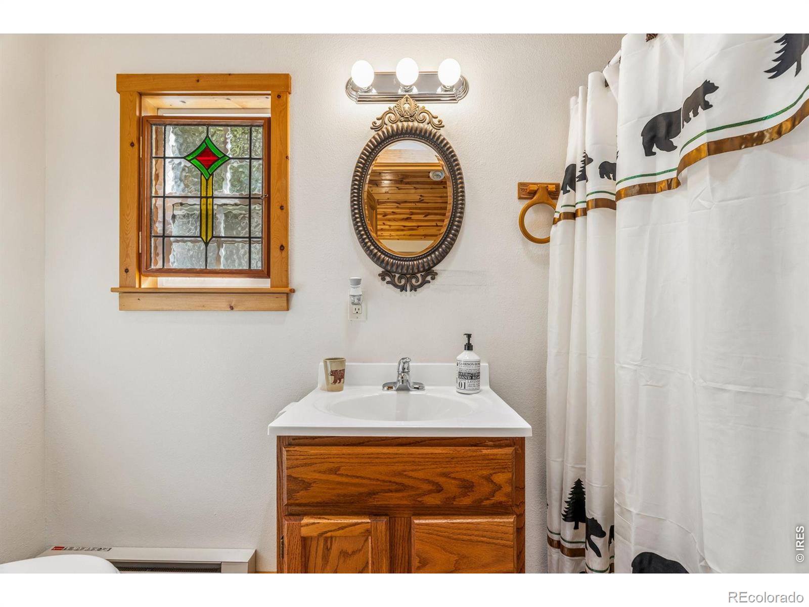 MLS Image #31 for 119  berthoud dale lane,drake, Colorado