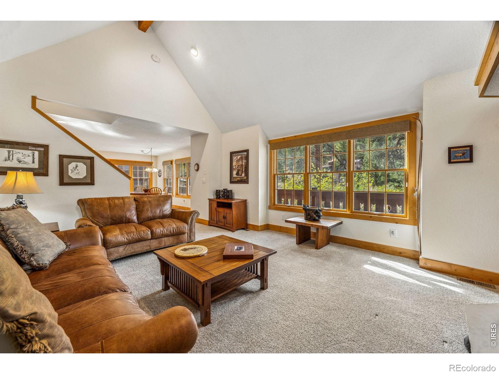 MLS Image #6 for 119  berthoud dale lane,drake, Colorado