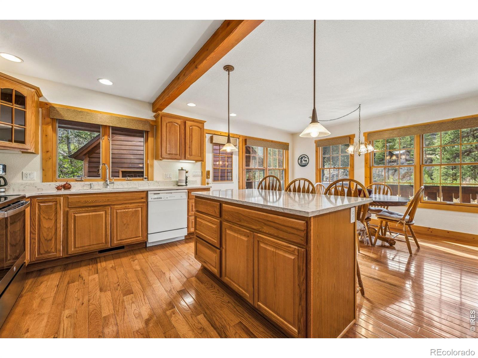 MLS Image #8 for 119  berthoud dale lane,drake, Colorado