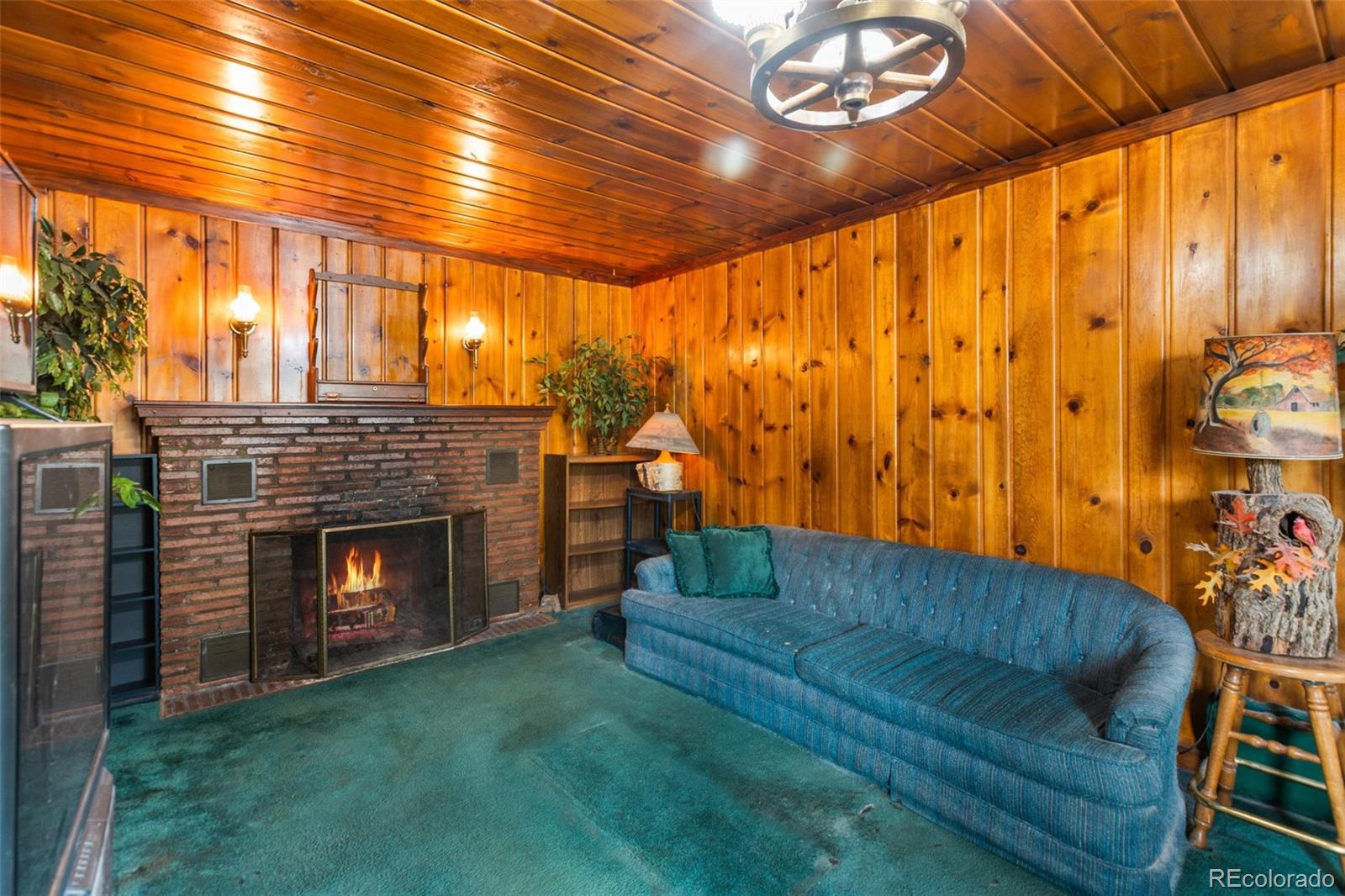 MLS Image #3 for 8150 w us highway 24 ,cascade, Colorado