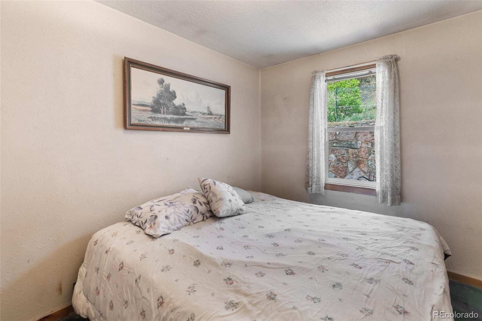 MLS Image #4 for 8150 w us highway 24 ,cascade, Colorado