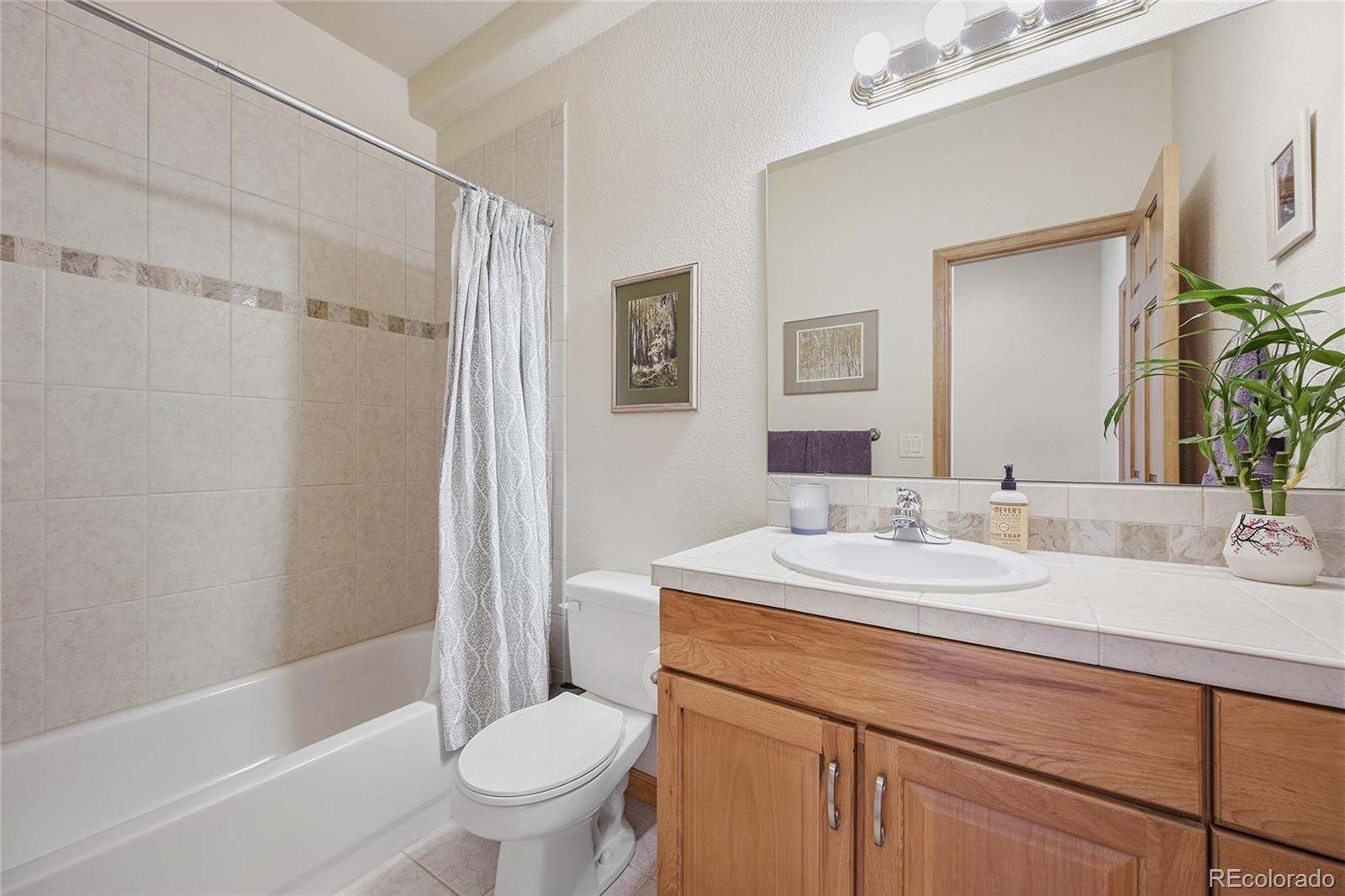 MLS Image #22 for 3667  joyful way,evergreen, Colorado