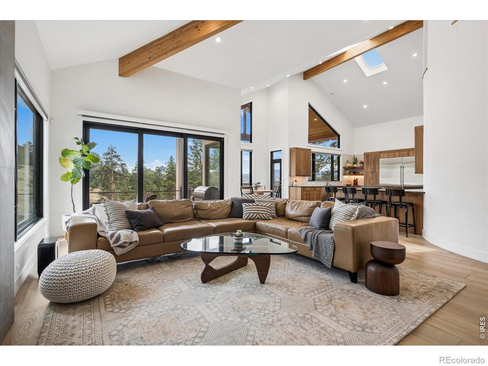MLS Image #10 for 1424  solitude lane,evergreen, Colorado