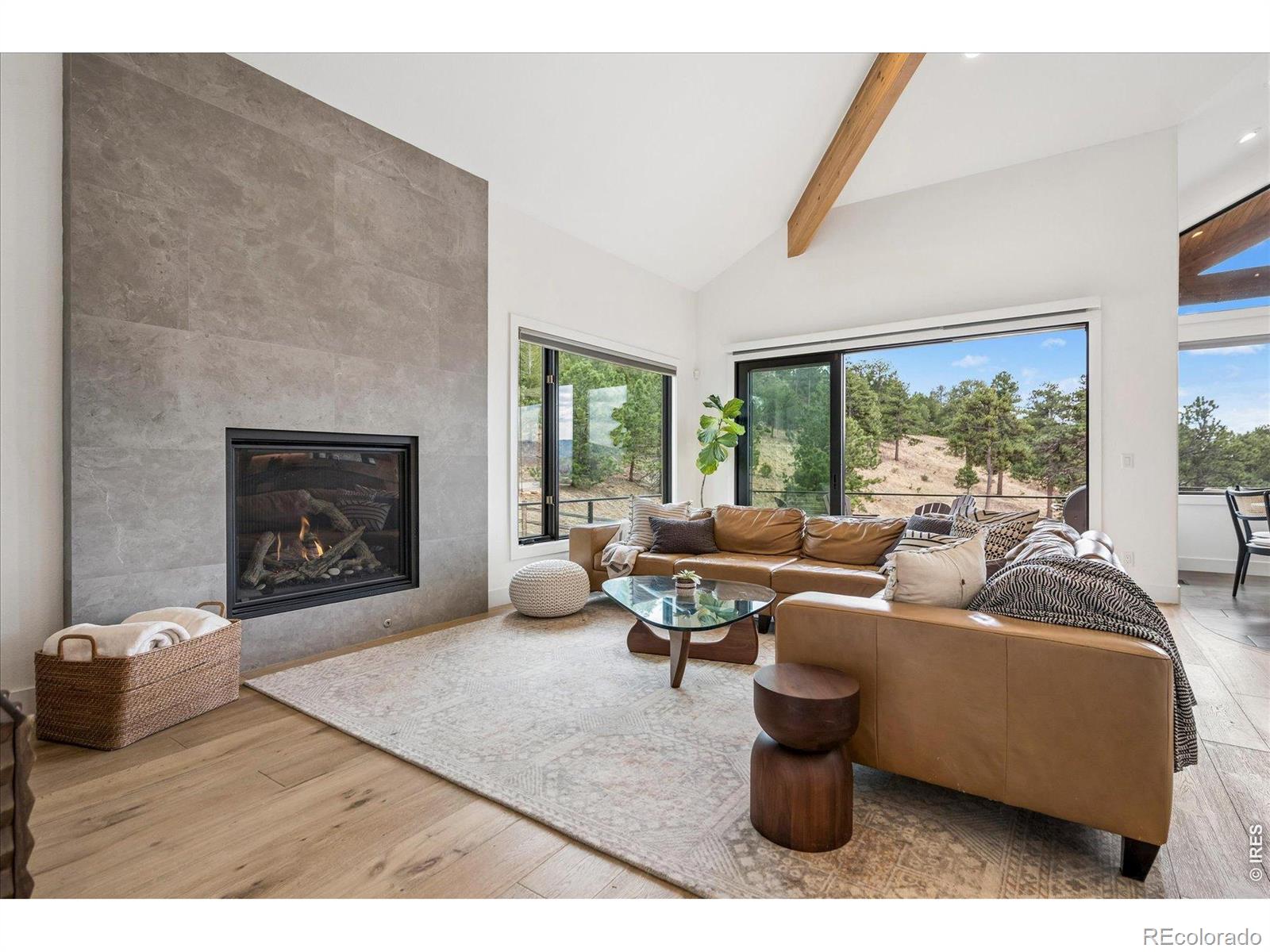 MLS Image #11 for 1424  solitude lane,evergreen, Colorado