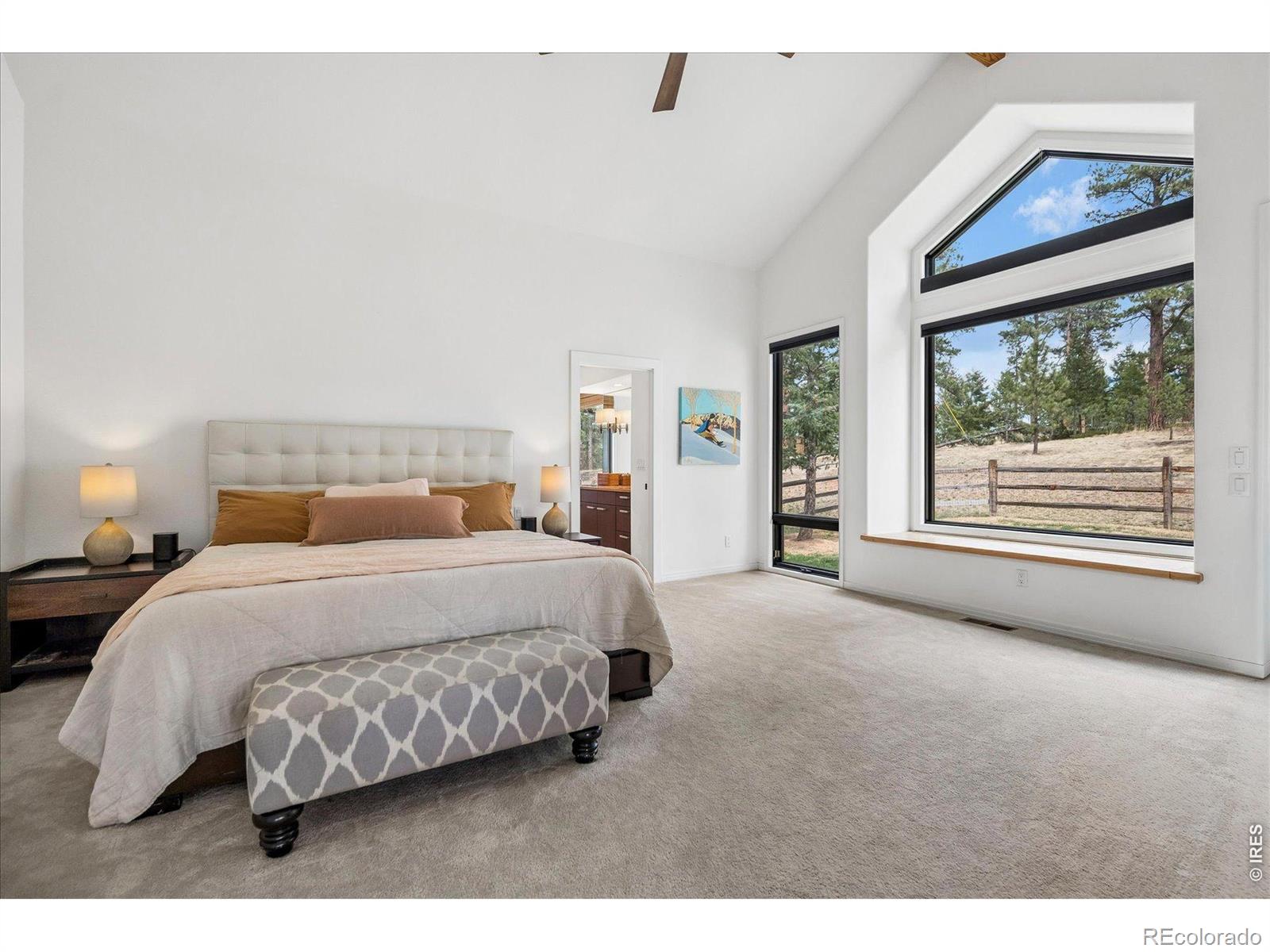 MLS Image #16 for 1424  solitude lane,evergreen, Colorado