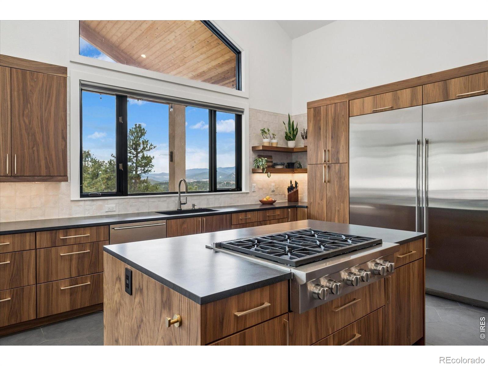 MLS Image #4 for 1424  solitude lane,evergreen, Colorado