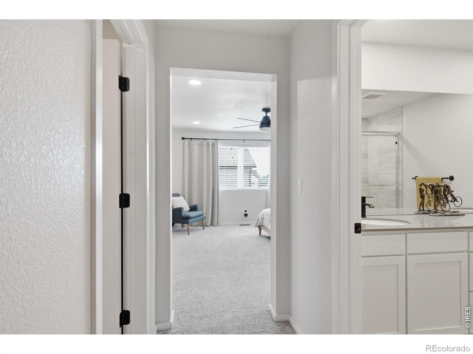 MLS Image #16 for 2939  coleman street,fort collins, Colorado