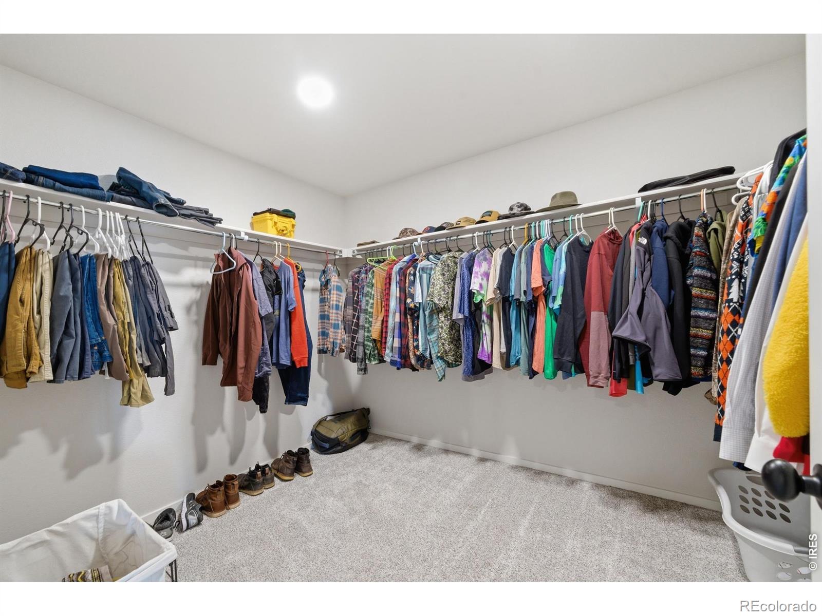 MLS Image #18 for 2939  coleman street,fort collins, Colorado