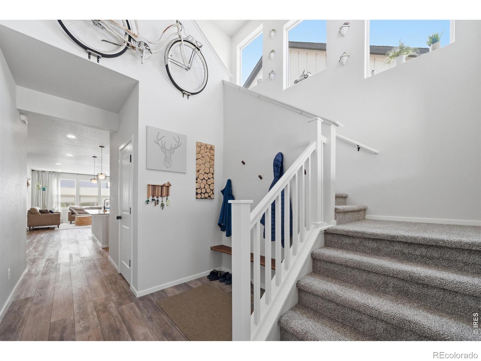 MLS Image #4 for 2939  coleman street,fort collins, Colorado