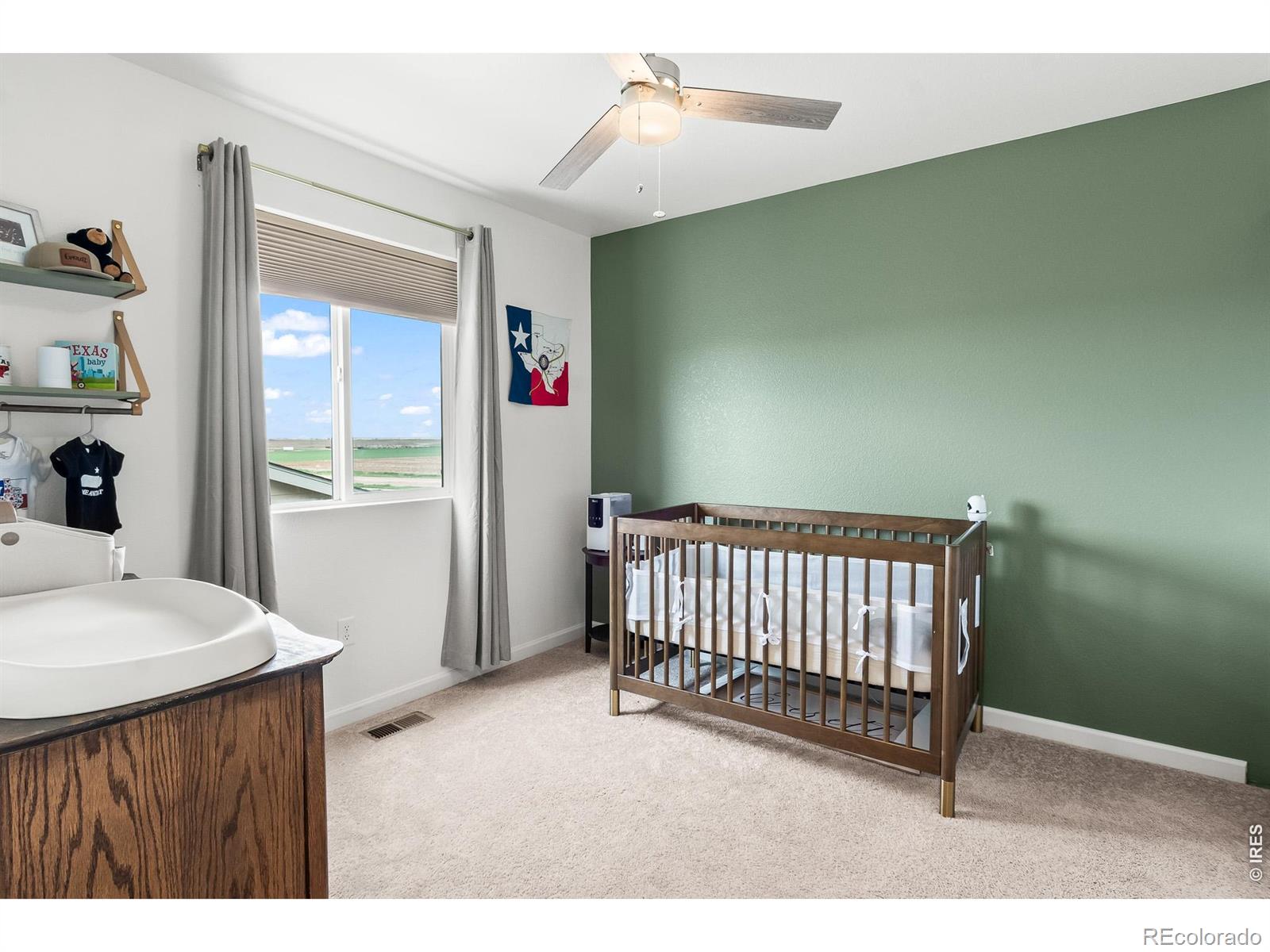 MLS Image #29 for 1246  sherman drive,dacono, Colorado