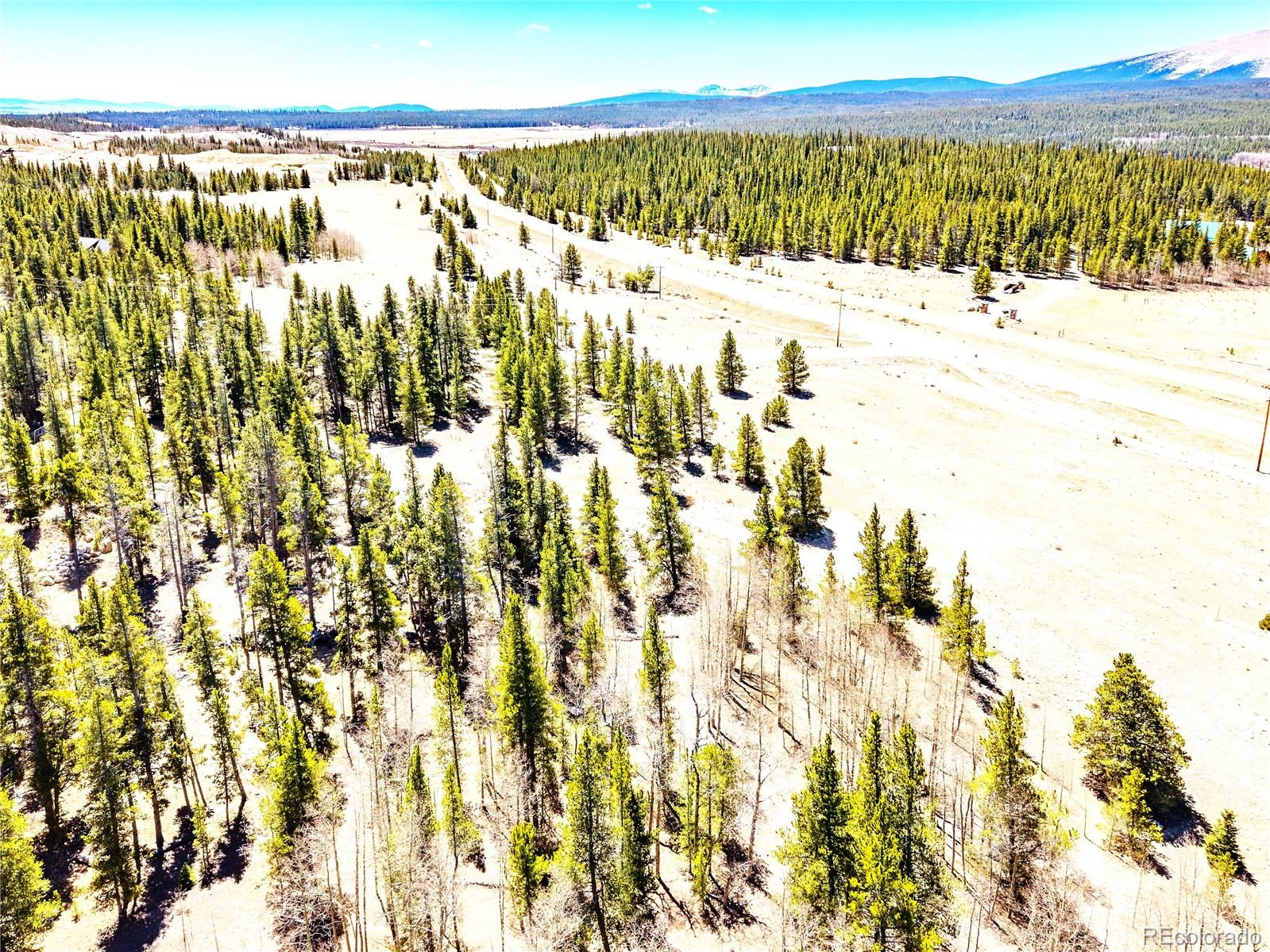 MLS Image #10 for 93  placer drive,alma, Colorado