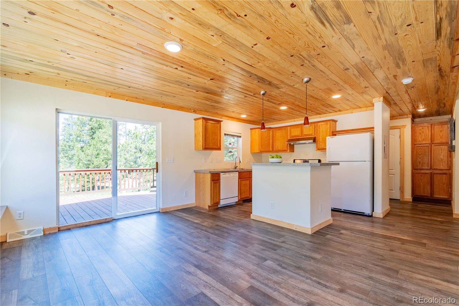 MLS Image #22 for 93  placer drive,alma, Colorado