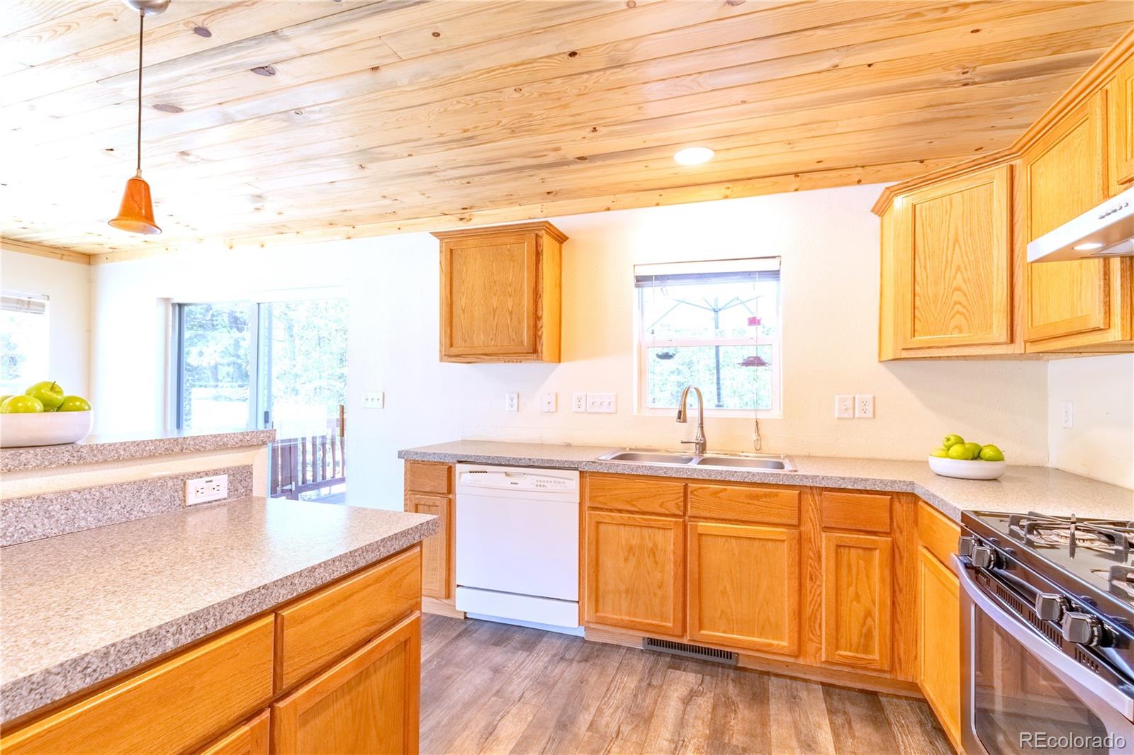 MLS Image #25 for 93  placer drive,alma, Colorado
