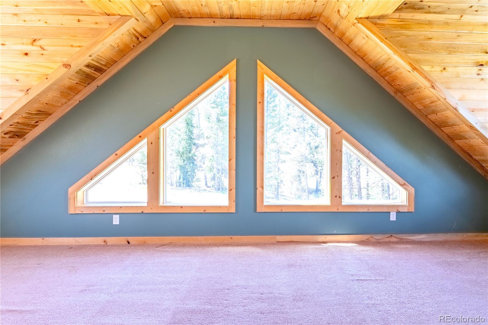 MLS Image #32 for 93  placer drive,alma, Colorado