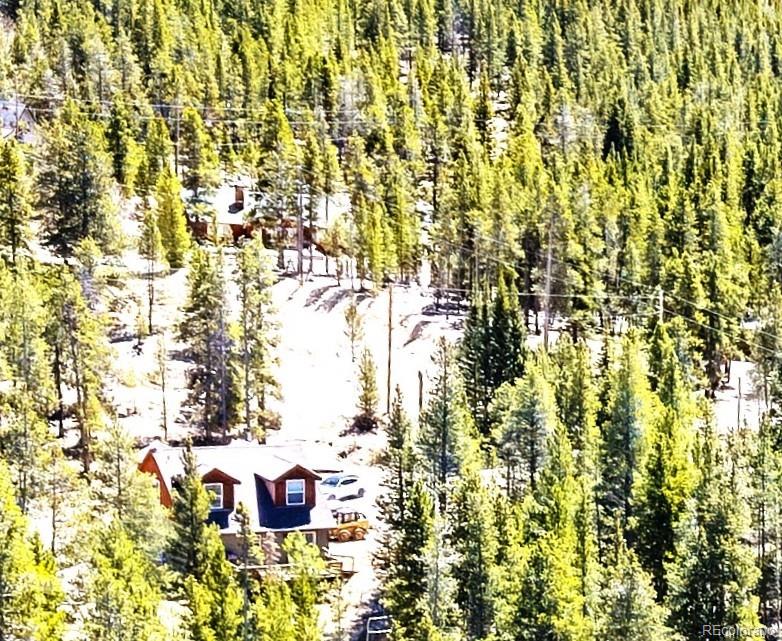 MLS Image #4 for 93  placer drive,alma, Colorado