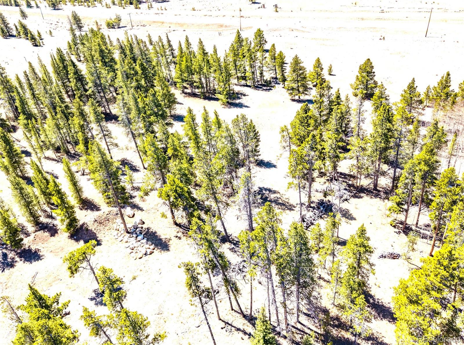 MLS Image #7 for 93  placer drive,alma, Colorado