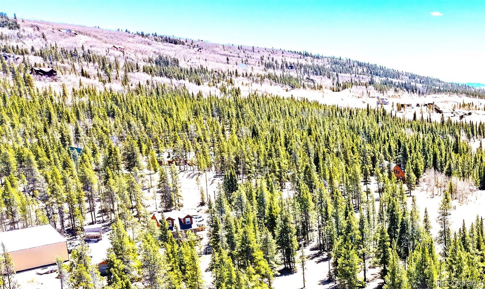 MLS Image #8 for 93  placer drive,alma, Colorado