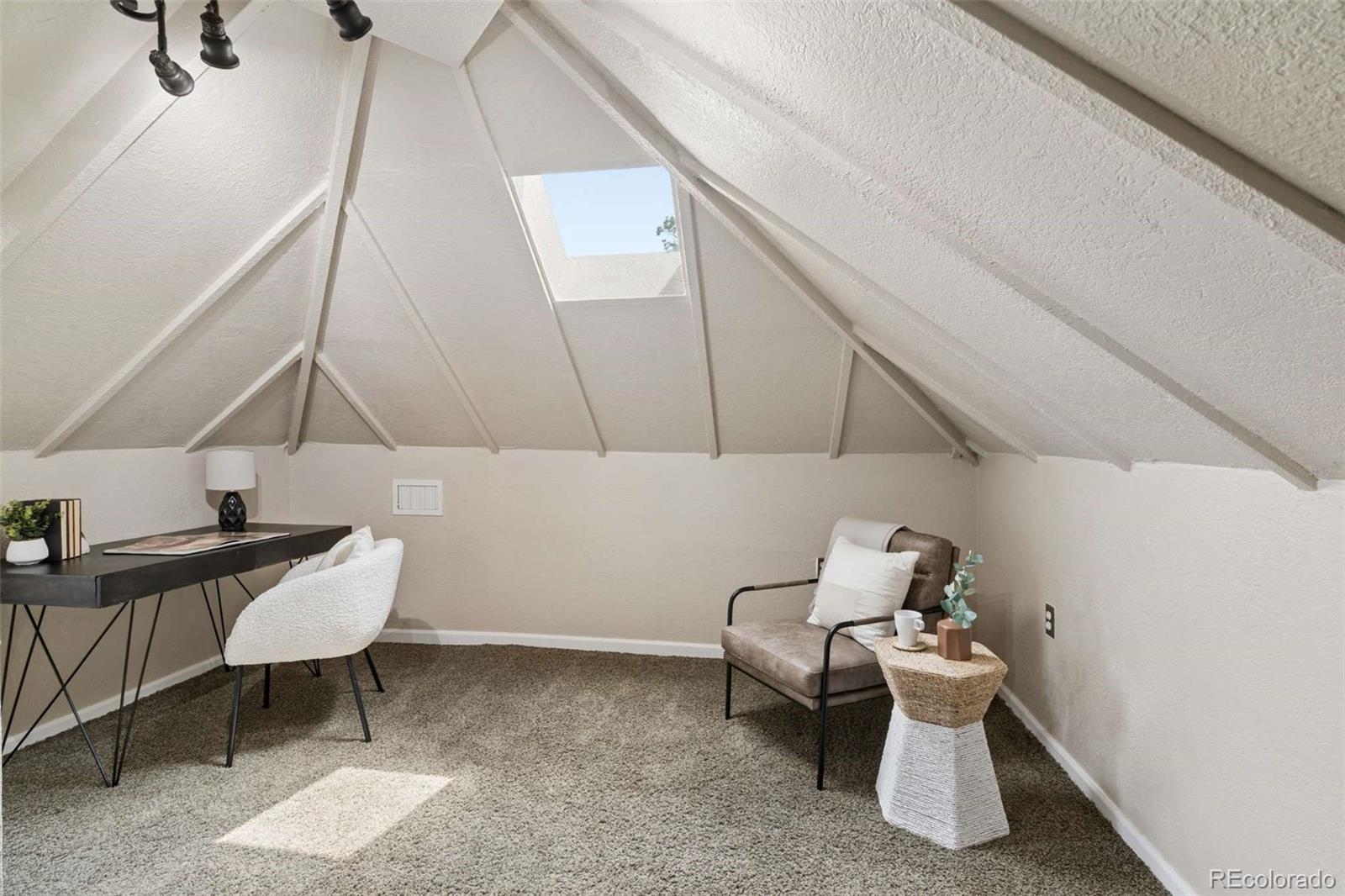 MLS Image #20 for 556 s canosa court,denver, Colorado