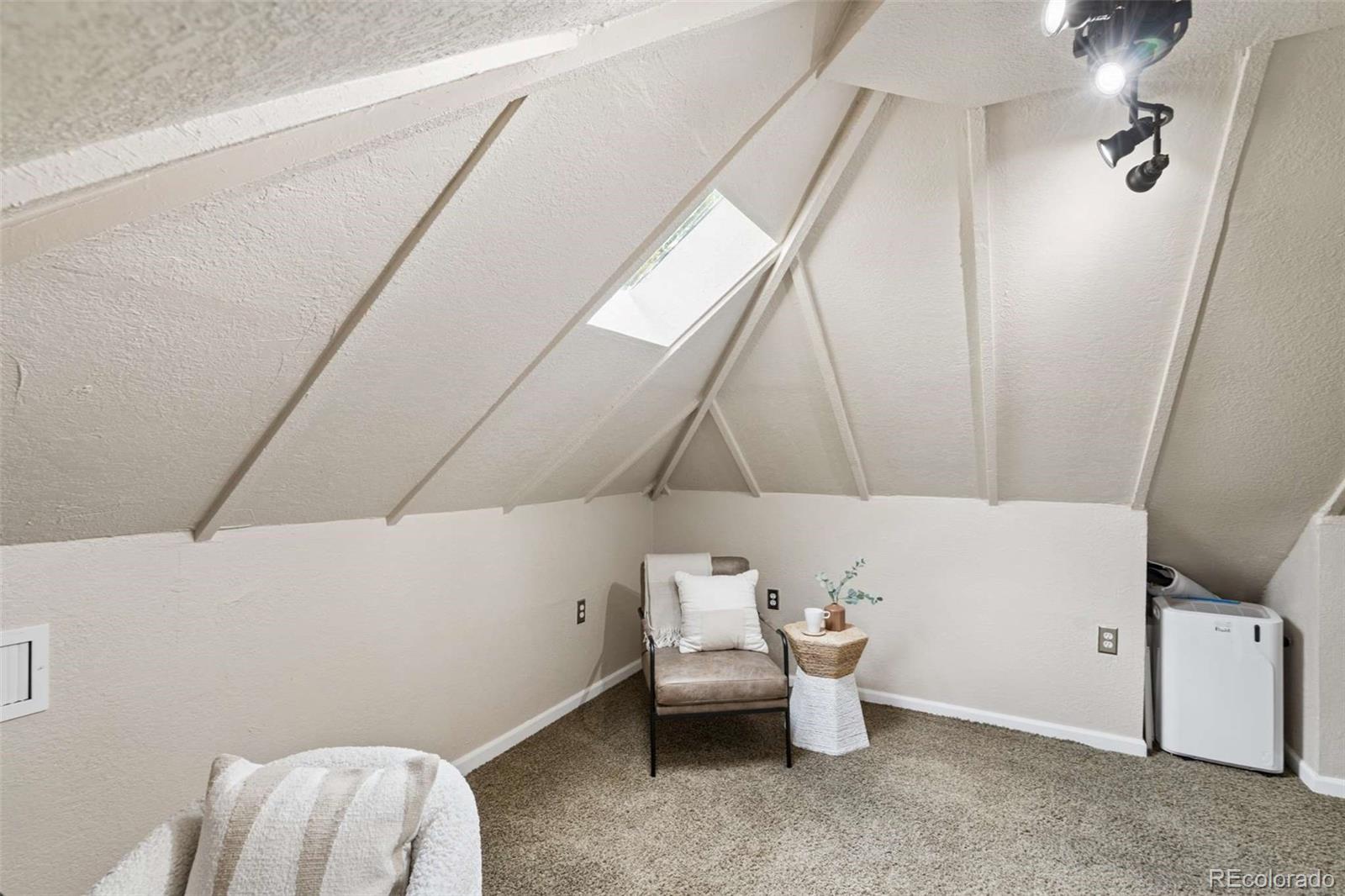MLS Image #21 for 556 s canosa court,denver, Colorado