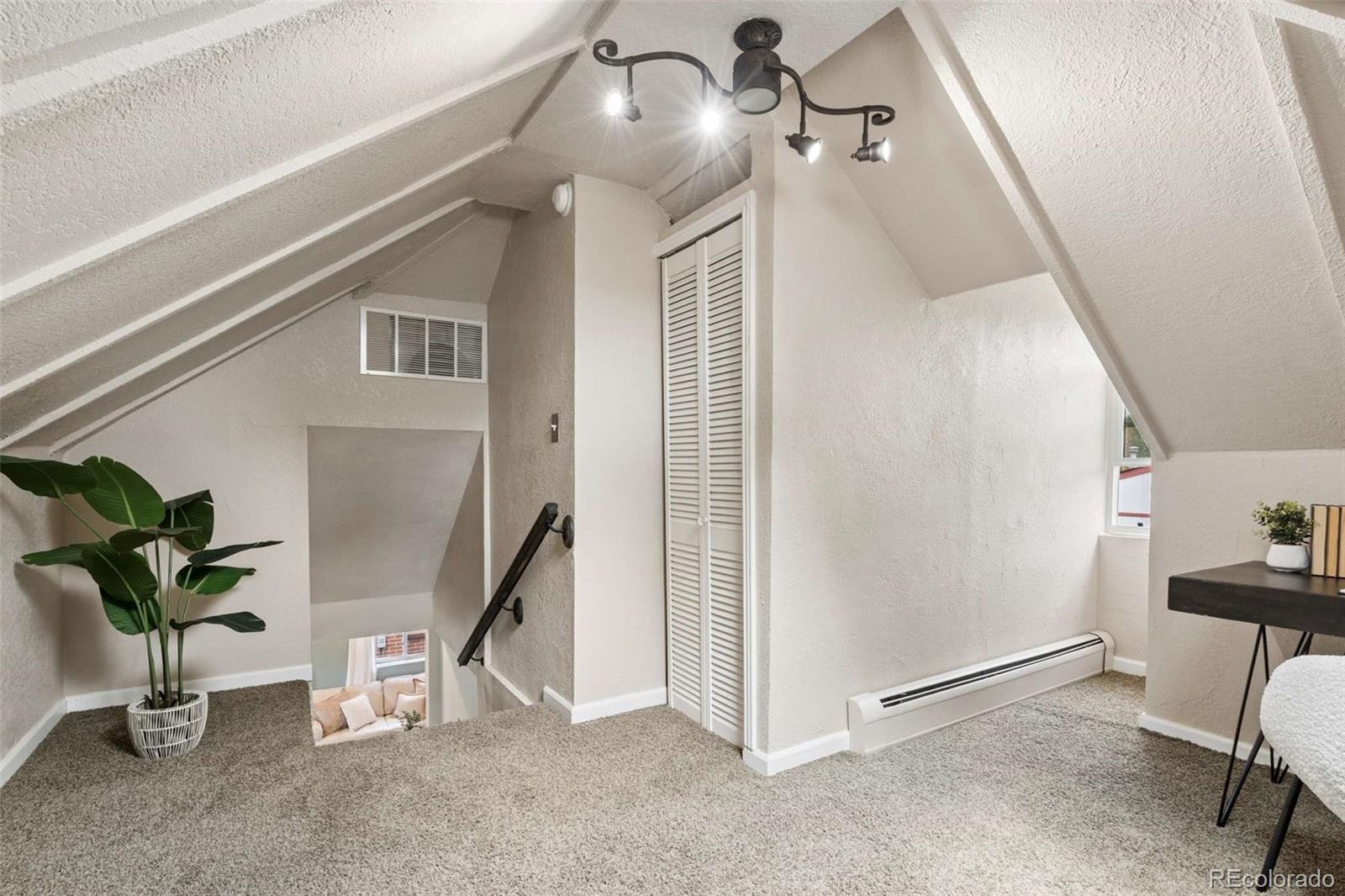 MLS Image #22 for 556 s canosa court,denver, Colorado