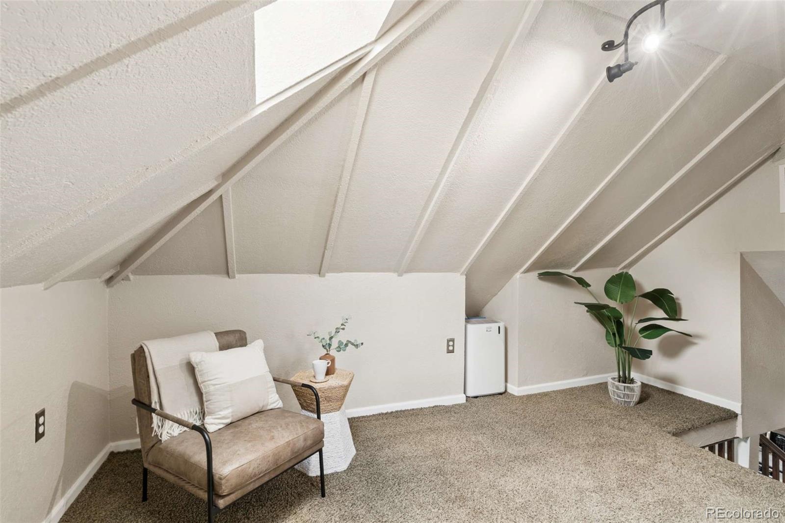 MLS Image #23 for 556 s canosa court,denver, Colorado
