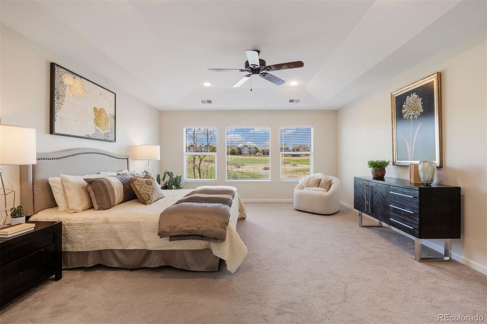MLS Image #21 for 11983  blackwell way,parker, Colorado