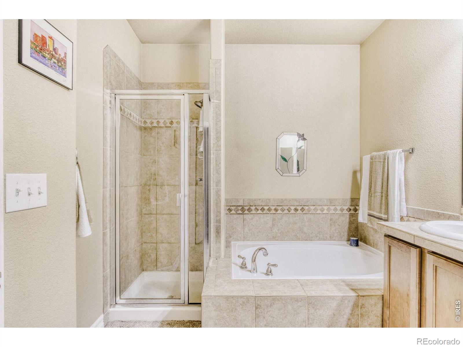 MLS Image #10 for 4888  raven run,broomfield, Colorado