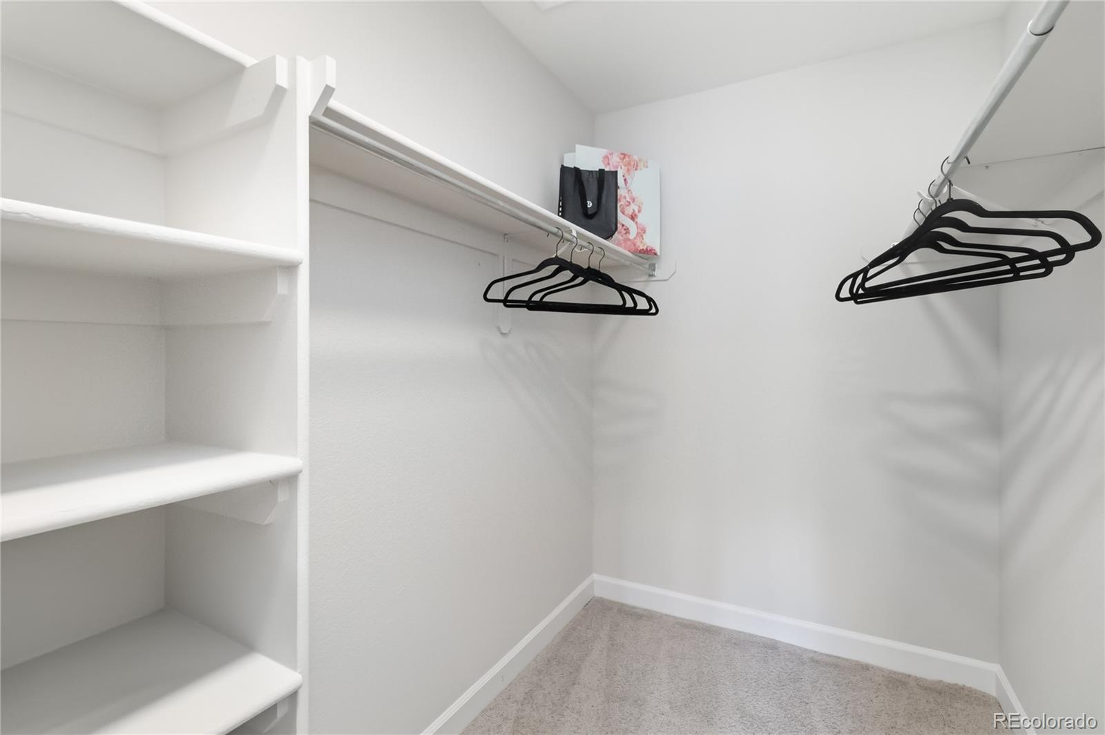 MLS Image #22 for 9579  deerhorn court,parker, Colorado