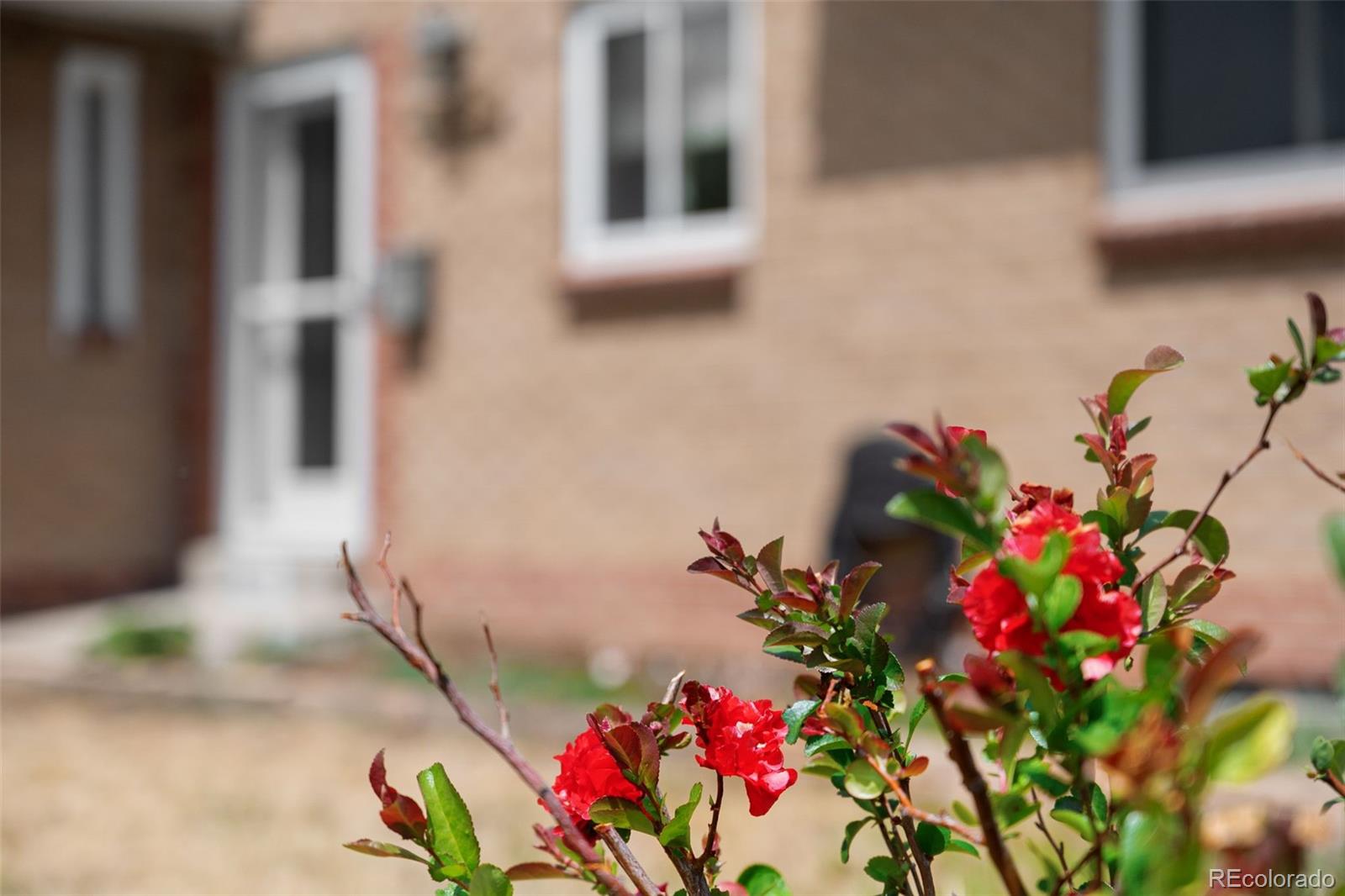 MLS Image #37 for 9565 w 52nd avenue,arvada, Colorado