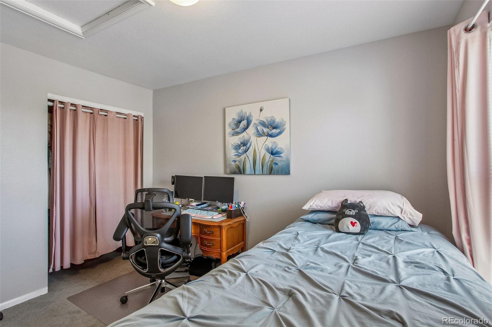 MLS Image #24 for 19672 e 55th place,denver, Colorado
