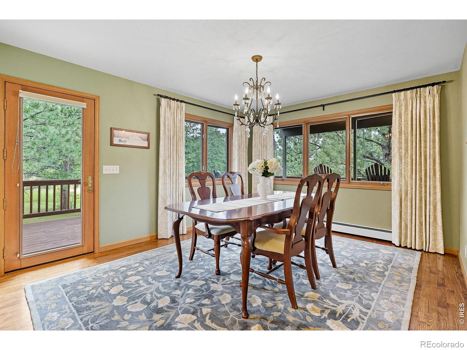 MLS Image #11 for 234  deer lane,lyons, Colorado