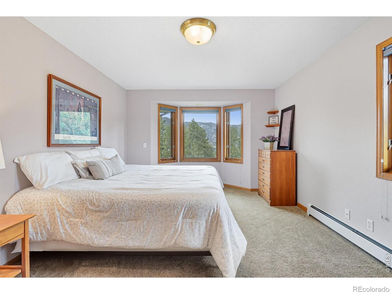 MLS Image #18 for 234  deer lane,lyons, Colorado