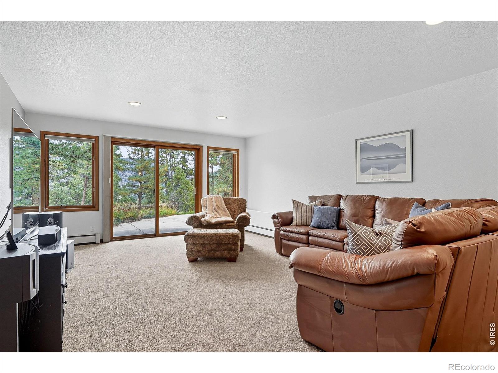 MLS Image #19 for 234  deer lane,lyons, Colorado