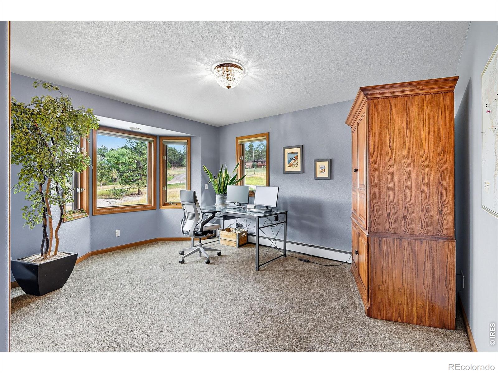 MLS Image #20 for 234  deer lane,lyons, Colorado