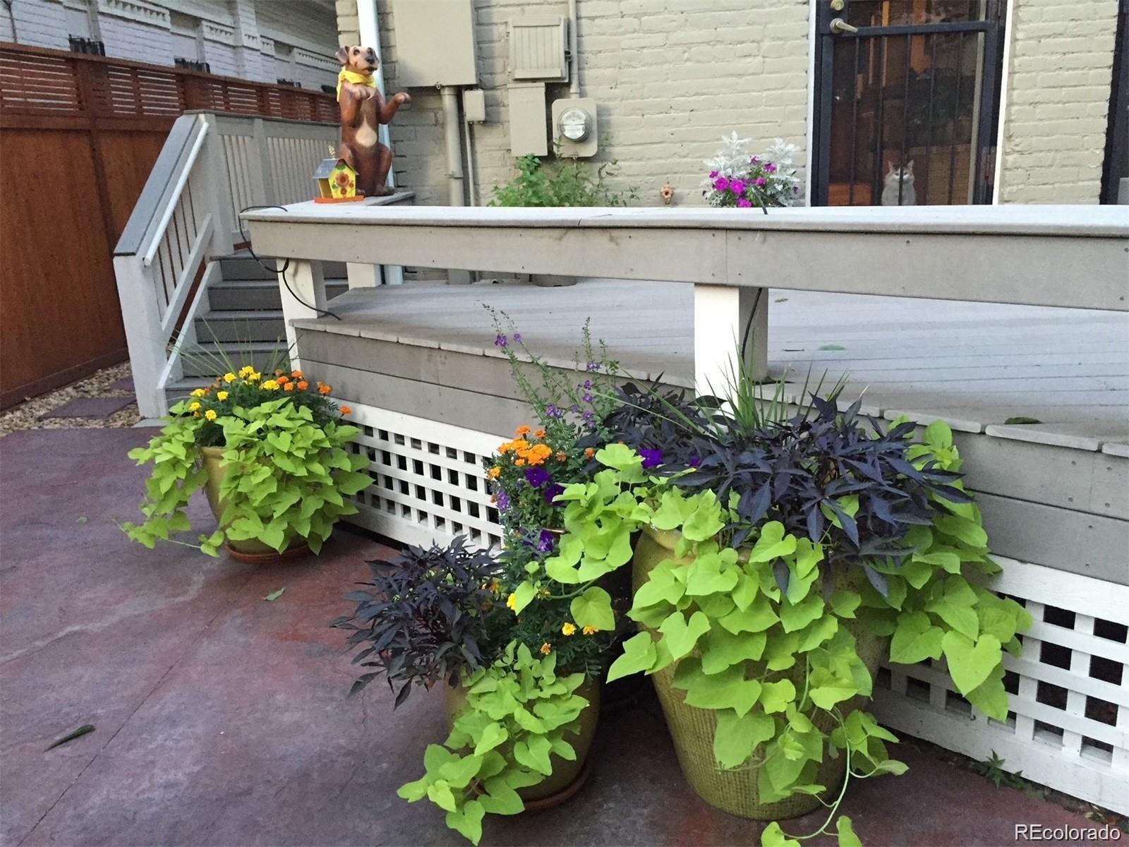 MLS Image #21 for 2027 n emerson street,denver, Colorado